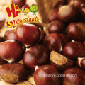 Organic Chinese Dried Chestnuts for sale